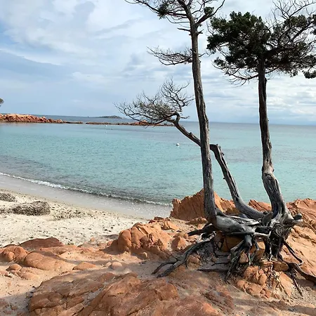 Auxcheneslieges Hébergement de vacances