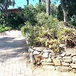 Auxcheneslieges Holiday home Lecci