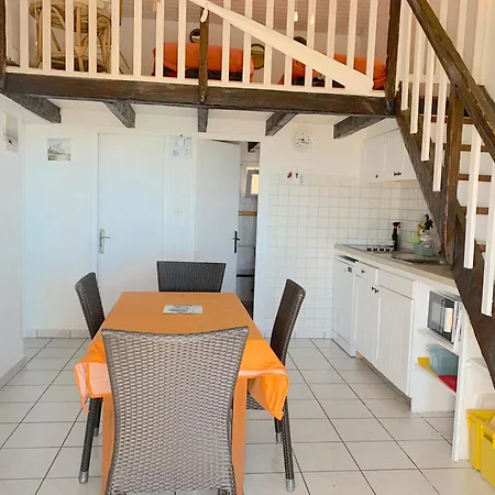 Auxcheneslieges * Lecci