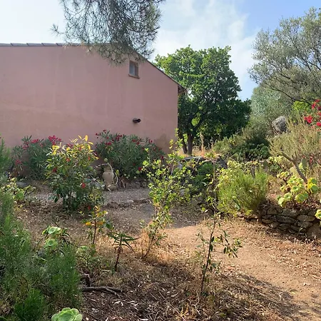 Auxcheneslieges Lecci