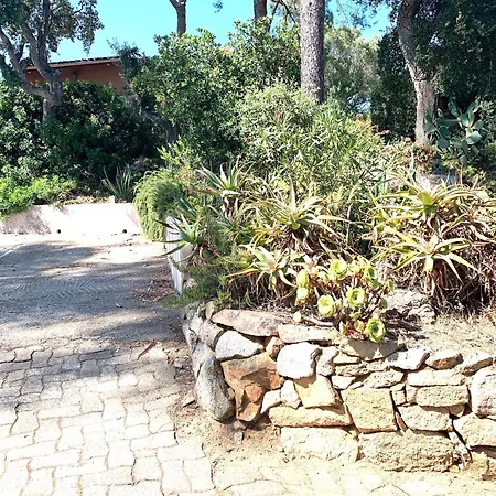 Auxcheneslieges Holiday home Lecci